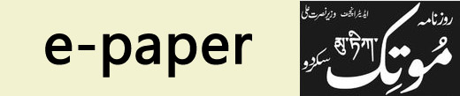 e-Paper